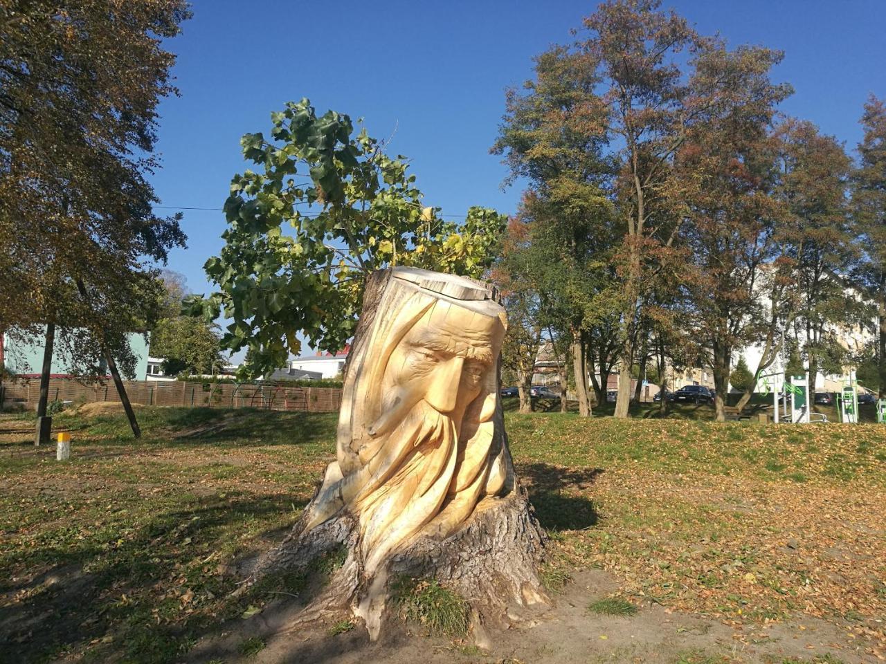 Mariza Letniskowe *